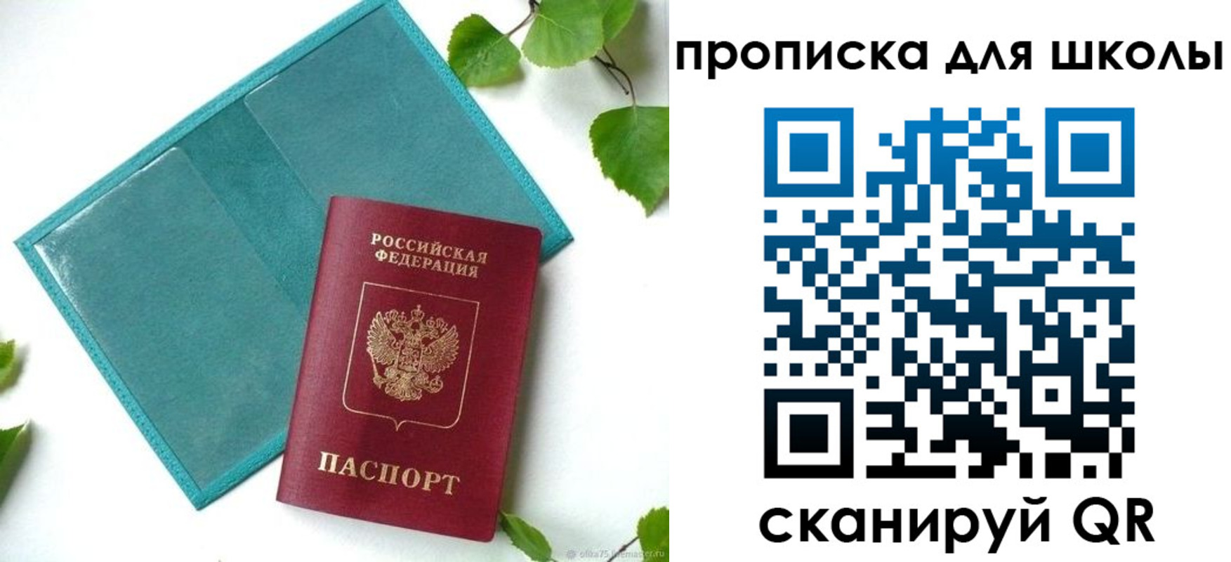 прописка в Лодейном Поле
